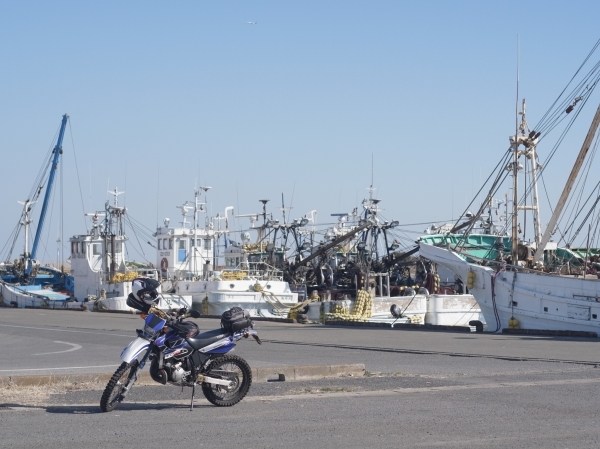 千葉県の漁港巡り【３】 片貝・栗山川
